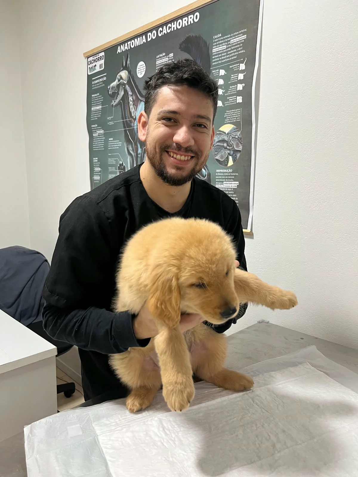 Médico veterinário realizando atendimento clínico em um filhote de cão